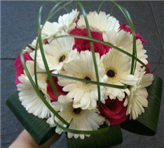 Gerbera And Rose Hand Tied 